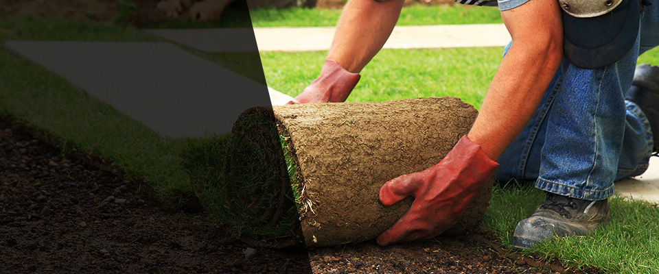 Hope Valley Landscapers